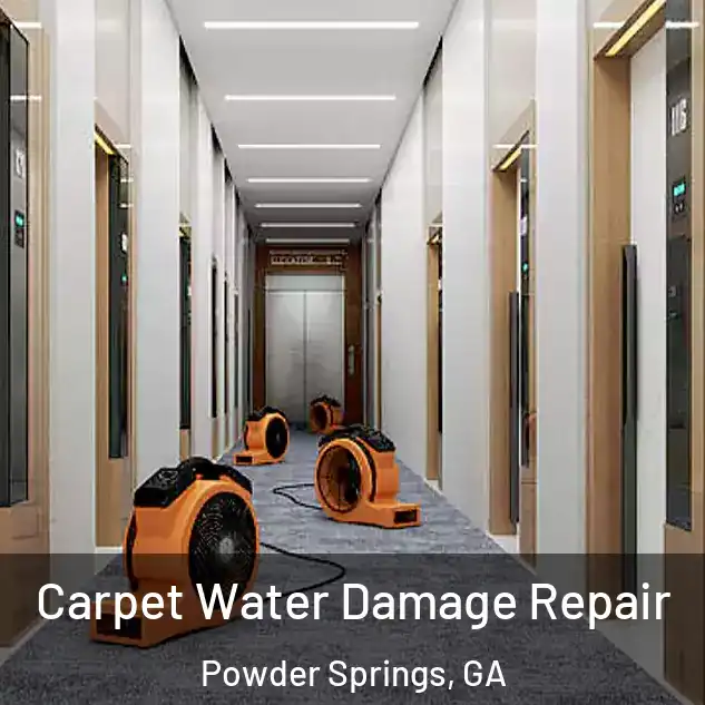  Carpet Water Damage Repair Powder Springs, GA