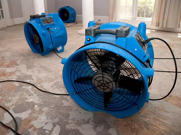 Water Damage Reconstruction in Powder Springs