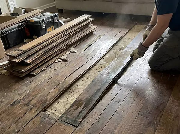 Water Damage Drying in Powder Springs