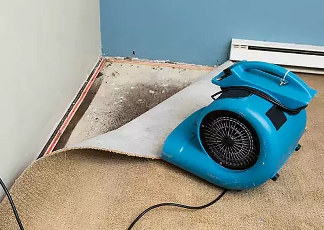 Your Water Damage Experts in Powder Springs, GA