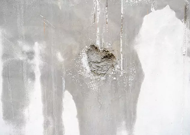 Your Mold Mitigation Solutions Partner in Powder Springs, GA