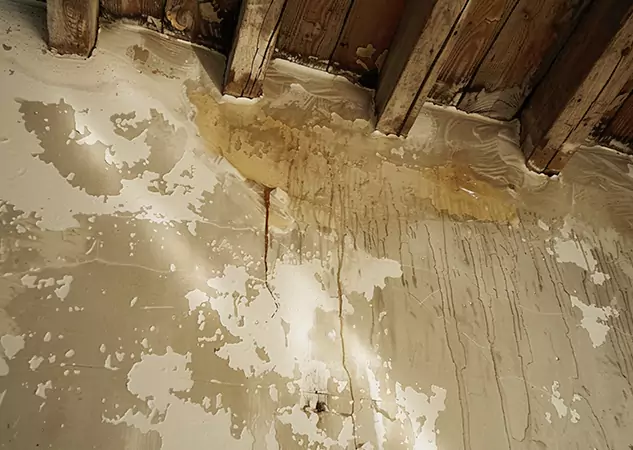 Your Trusted Restoration Company in Powder Springs, GA