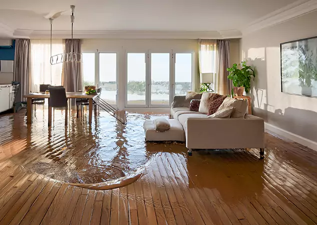 Your Water Removal Specialists in Powder Springs, GA