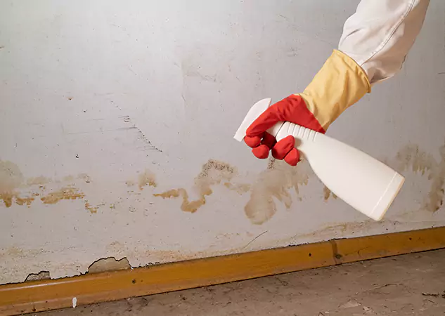 Your Water Restoration and Mold Remediation Specialists in Powder Springs, GA