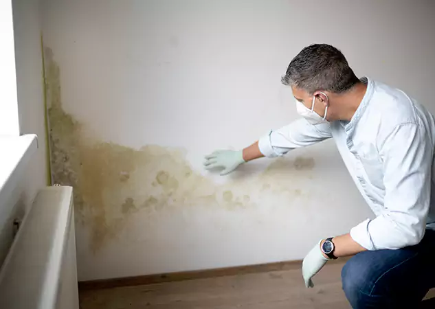 Reach Our Remediation Team Before Damage Grows in Powder Springs, GA!