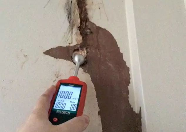 Your Water Damage Assessment Partner in Powder Springs, GA