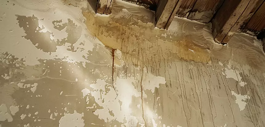 Professional Attic Water Damage Repair Services in Powder Springs, GA