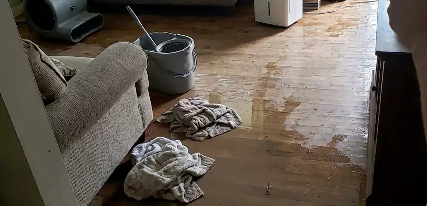 Professional Basement Water Remediation Services in Powder Springs, GA