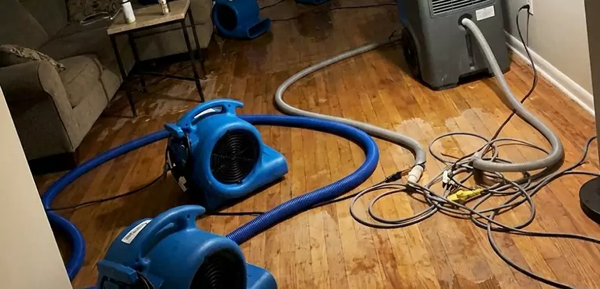 Basement Flood Restoration Services in Powder Springs