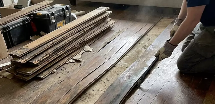 Wood Rot and Fungus Repair in Powder Springs