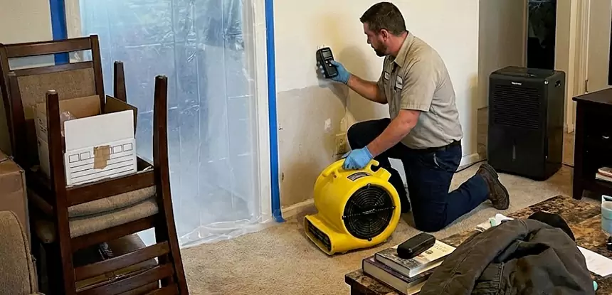 Carpet Water Damage Repair Powder Springs