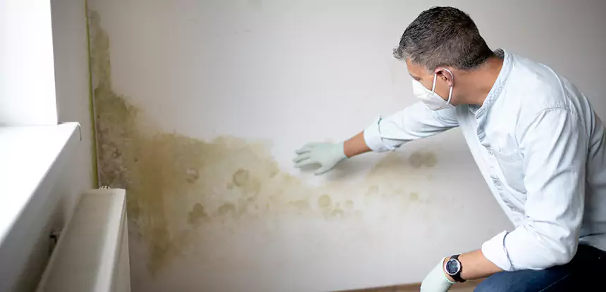 Mold and Water Damage Repair in Powder Springs
