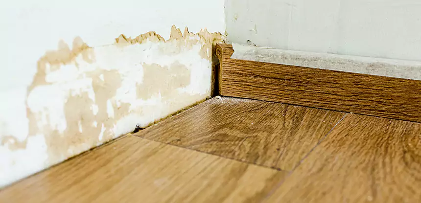 Professional Fix Water Damaged Wood Services in Powder Springs, GA