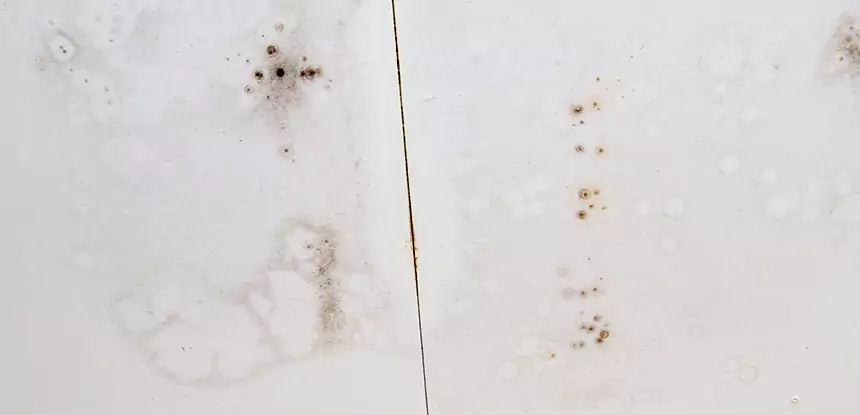 Professional Water Stain Repair Services in Powder Springs, GA