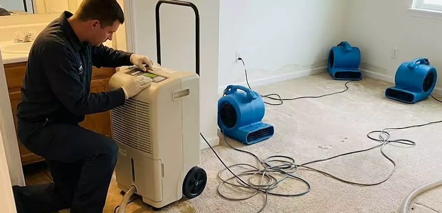 Professional Wet Carpet Removal Services in Powder Springs, GA