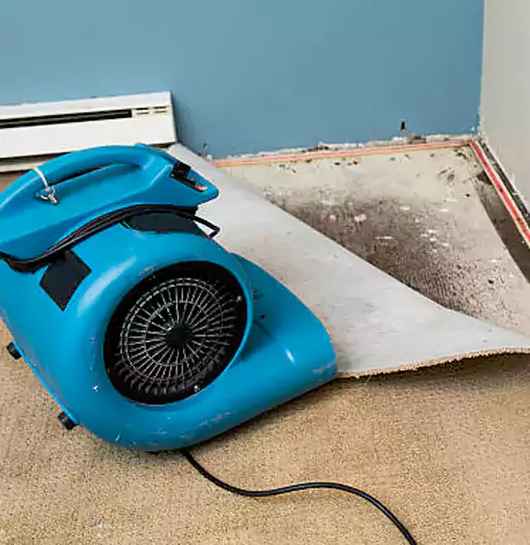 Why Powder Springs Trusts Powder Springs Restoration Pro for Carpet Flood Recovery?