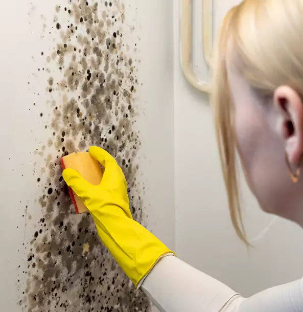 Why Powder Springs Restoration Pro Leads Mold Remediation in Powder Springs?