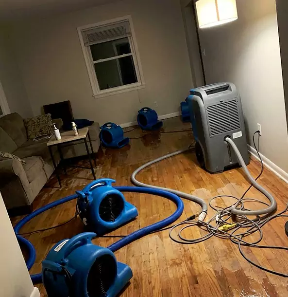 Why Powder Springs Property Owners Rely on Powder Springs Restoration Pro for Remediation?