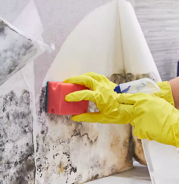 Why Powder Springs Trusts Powder Springs Restoration Pro for Mold and Water Restoration?