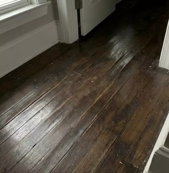 Why Powder Springs Homeowners Trust Powder Springs Restoration Pro to Fix Water Damaged Wood?