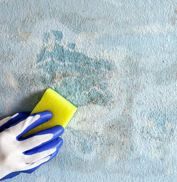 Why Powder Springs Restoration Pro Is the Right Choice in Powder Springs, GA?