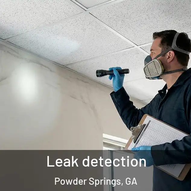 Leak detection Powder Springs, GA