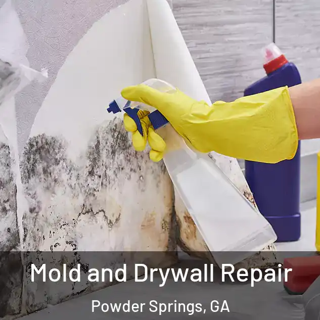  Mold and Drywall Repair Powder Springs, GA