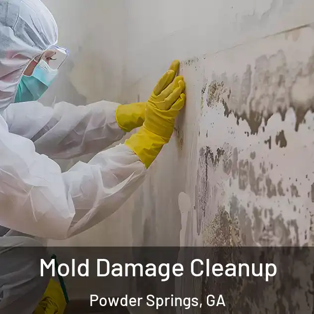  Mold Damage Cleanup Powder Springs, GA