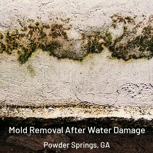  Mold Removal After Water Damage Powder Springs, GA