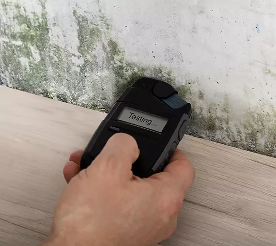 Mold Remediation Service Powder Springs