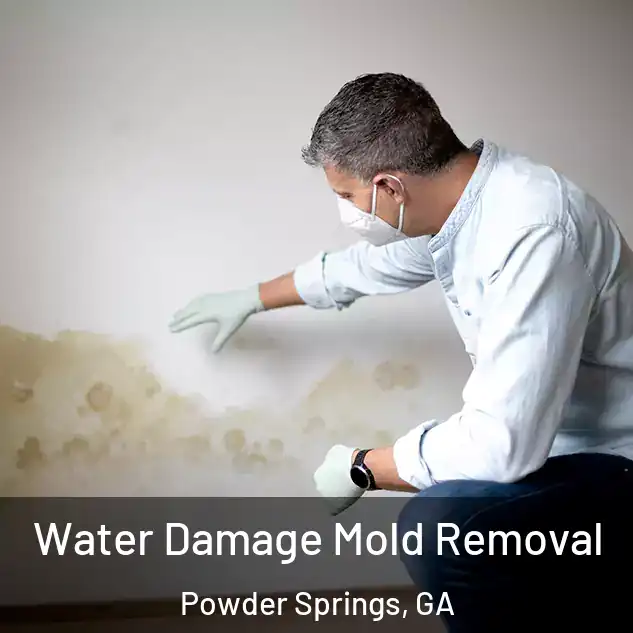  Water Damage Mold Removal Powder Springs, GA