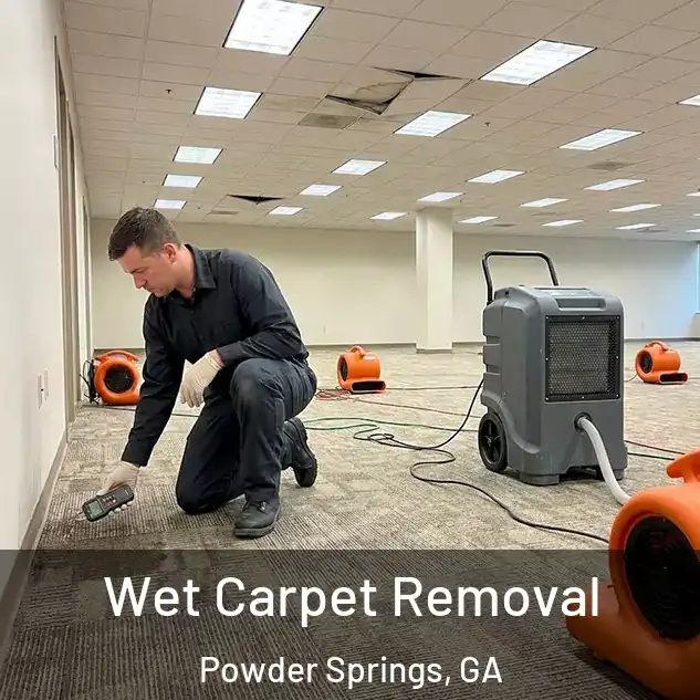  Wet Carpet Removal Powder Springs, GA